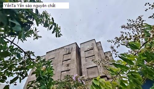 Top 6 cửa hàng yến sào tại  Quận 8 HCM (Cũ)