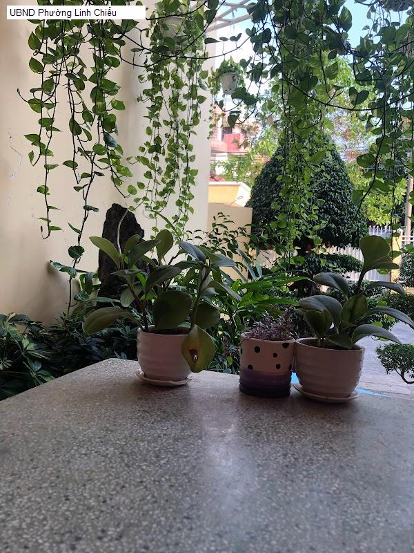 UBND Phường Linh Chiểu