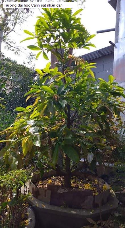 Trường đại học Cảnh sát nhân dân