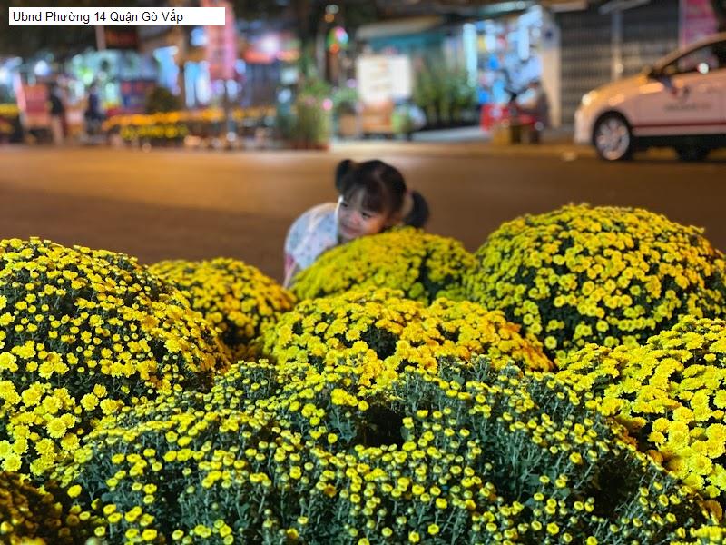 Ubnd Phường 14 Quận Gò Vấp