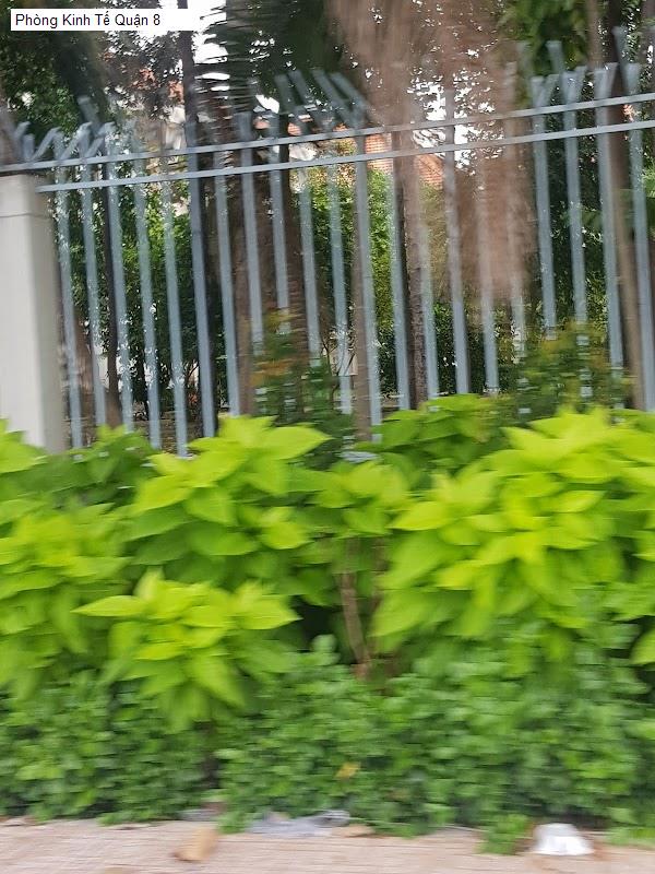 Phòng Kinh Tế Quận 8
