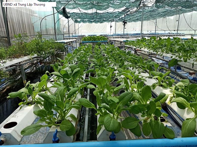UBND xã Trung Lập Thượng