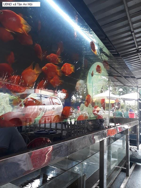 UBND xã Tân An Hội