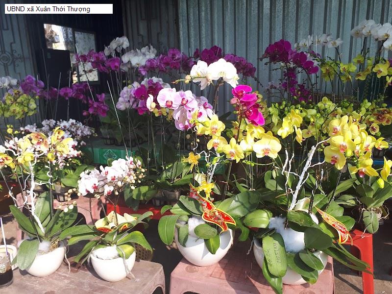 UBND xã Xuân Thới Thượng