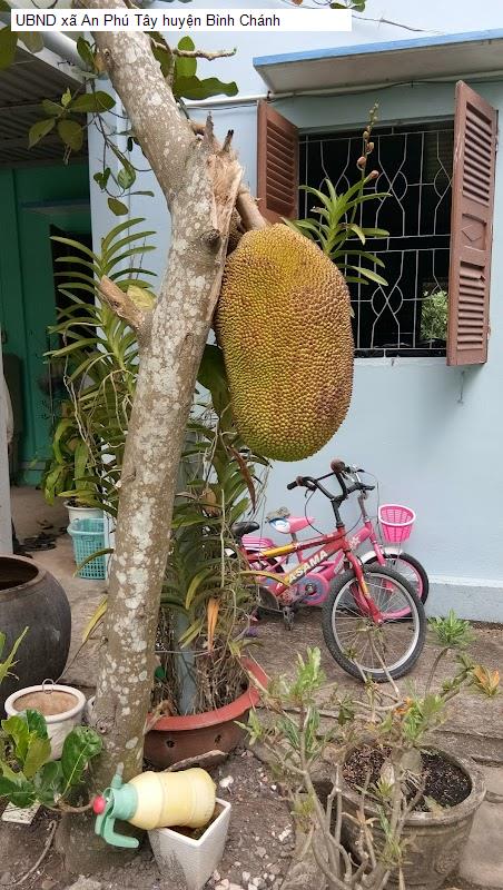UBND xã An Phú Tây huyện Bình Chánh