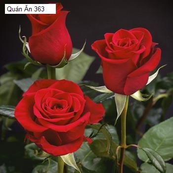 Quán Ăn 363