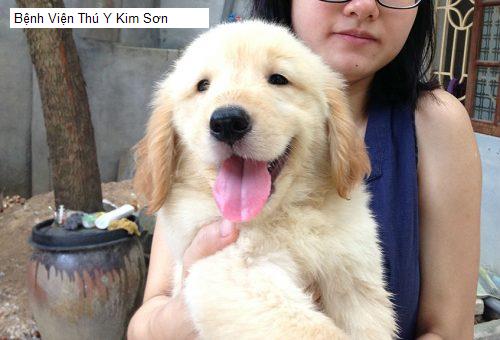 Bệnh Viện Thú Y Kim Sơn