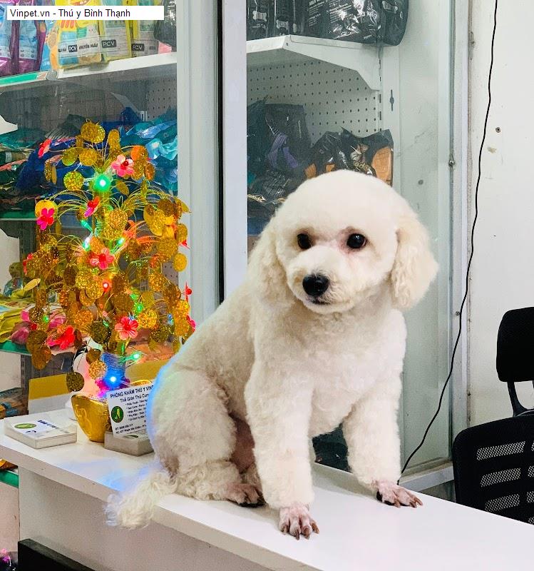 Vinpet.vn - Thú y Bình Thạnh