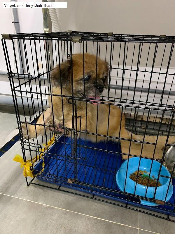 Vinpet.vn - Thú y Bình Thạnh