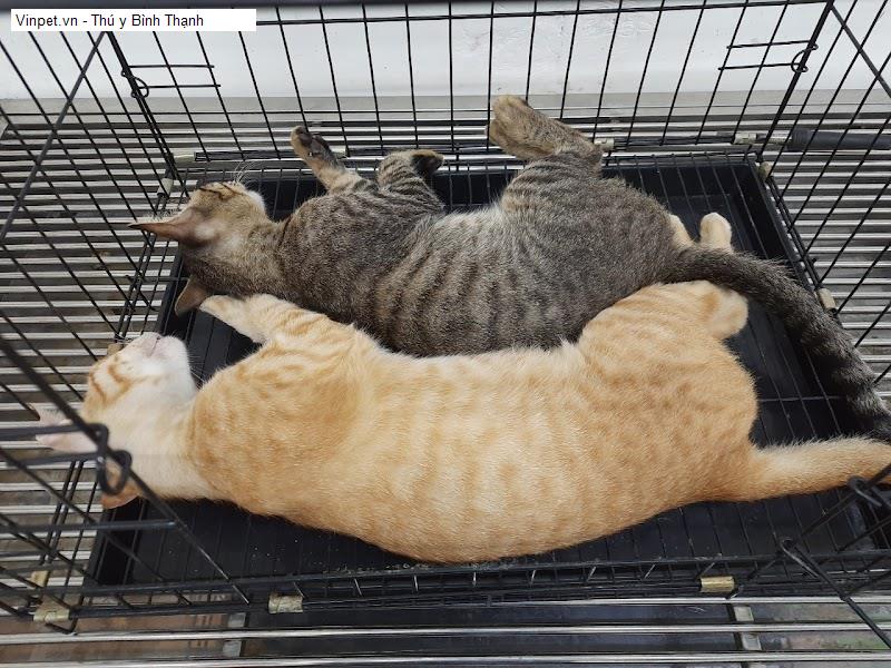 Vinpet.vn - Thú y Bình Thạnh