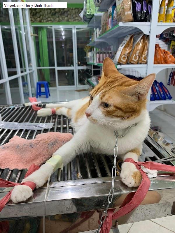 Vinpet.vn - Thú y Bình Thạnh