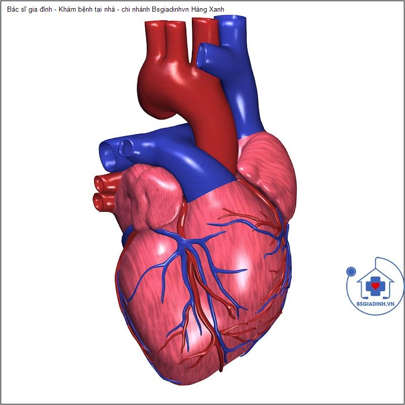 Bác sĩ gia đình - Khám bệnh tại nhà - chi nhánh Bsgiadinhvn Hàng Xanh