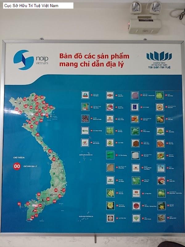 Cục Sở Hữu Trí Tuệ Việt Nam