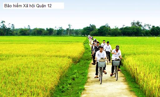 Bảo hiểm Xã hội Quận 12