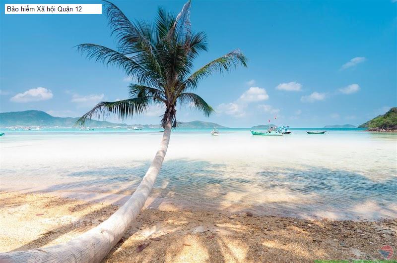 Bảo hiểm Xã hội Quận 12