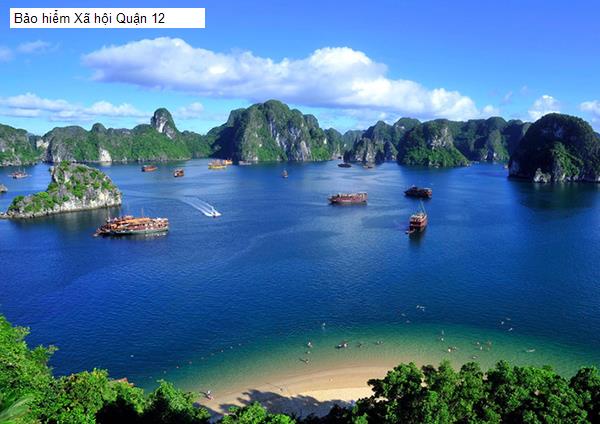 Bảo hiểm Xã hội Quận 12