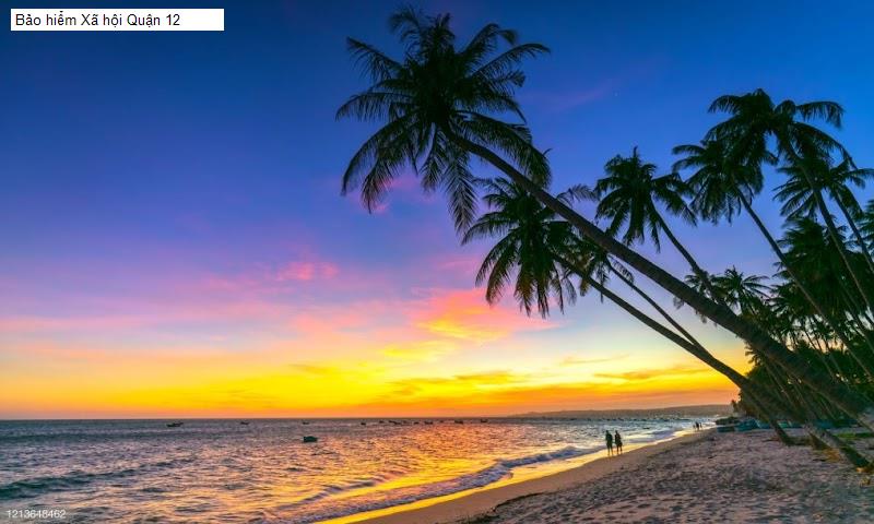 Bảo hiểm Xã hội Quận 12