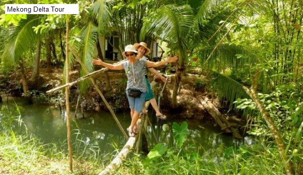 Mekong Delta Tour